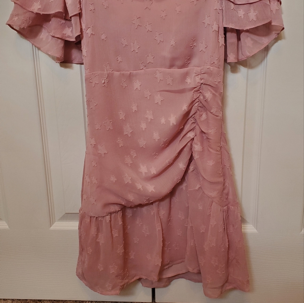 NWT Ruthie Grace Blush Dress - Picture 5 of 6